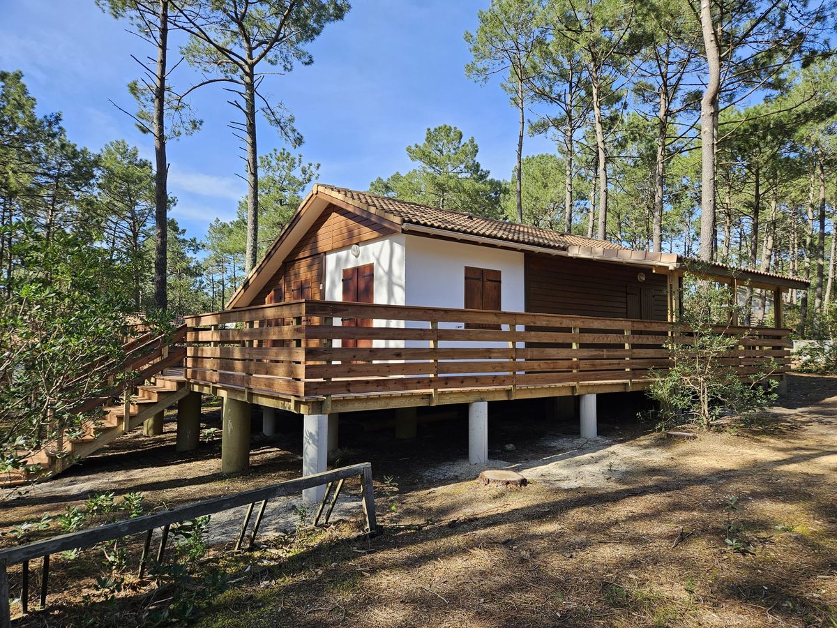 Chalet sur pilotis avec terrasse périphérique en bois, en pinède au Porge (Gironde) - réalisation Bovä Construction