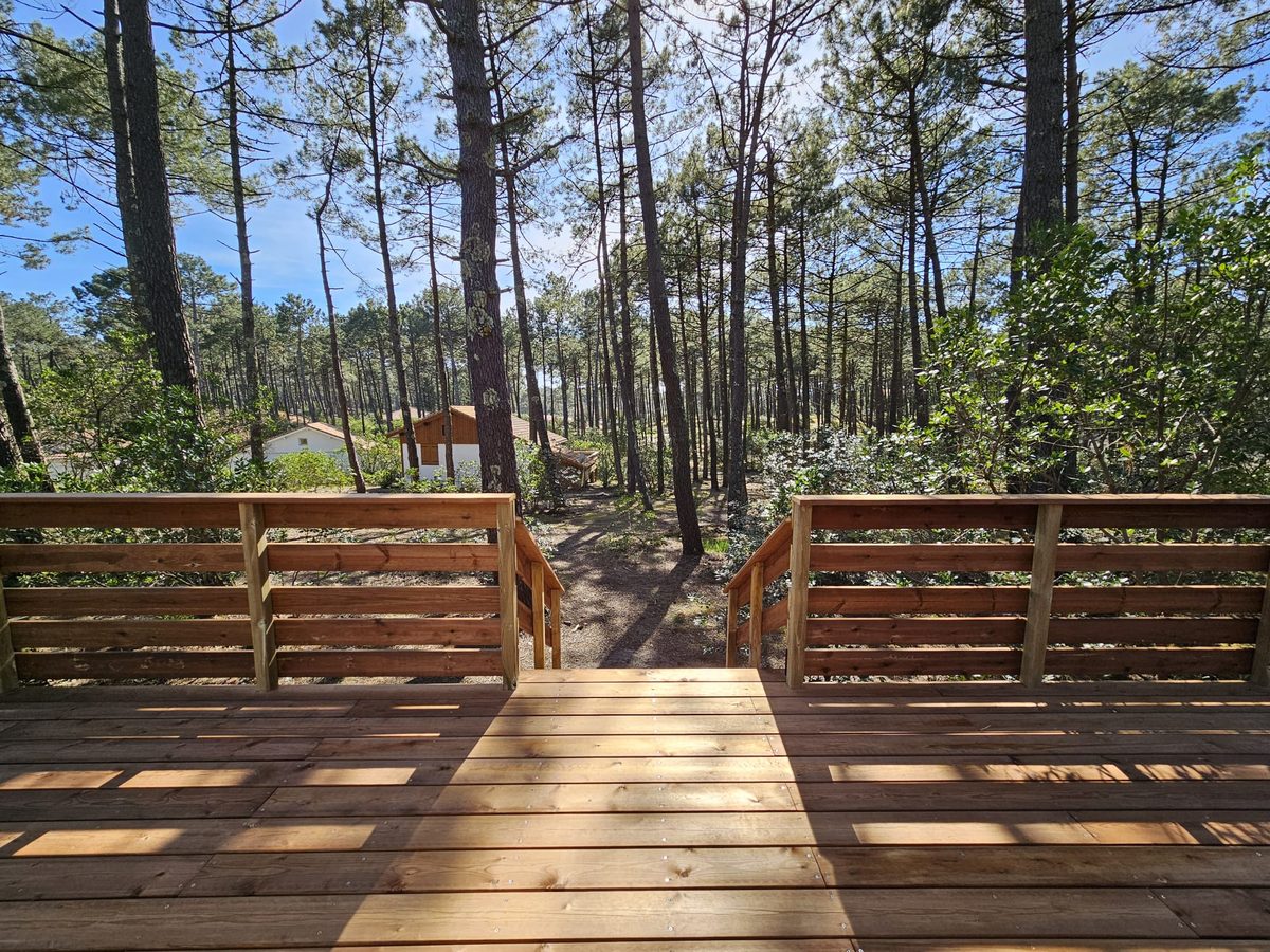 Vue depuis une terrasse en bois sur la pinède - réalisation Bovä Construction au Porge